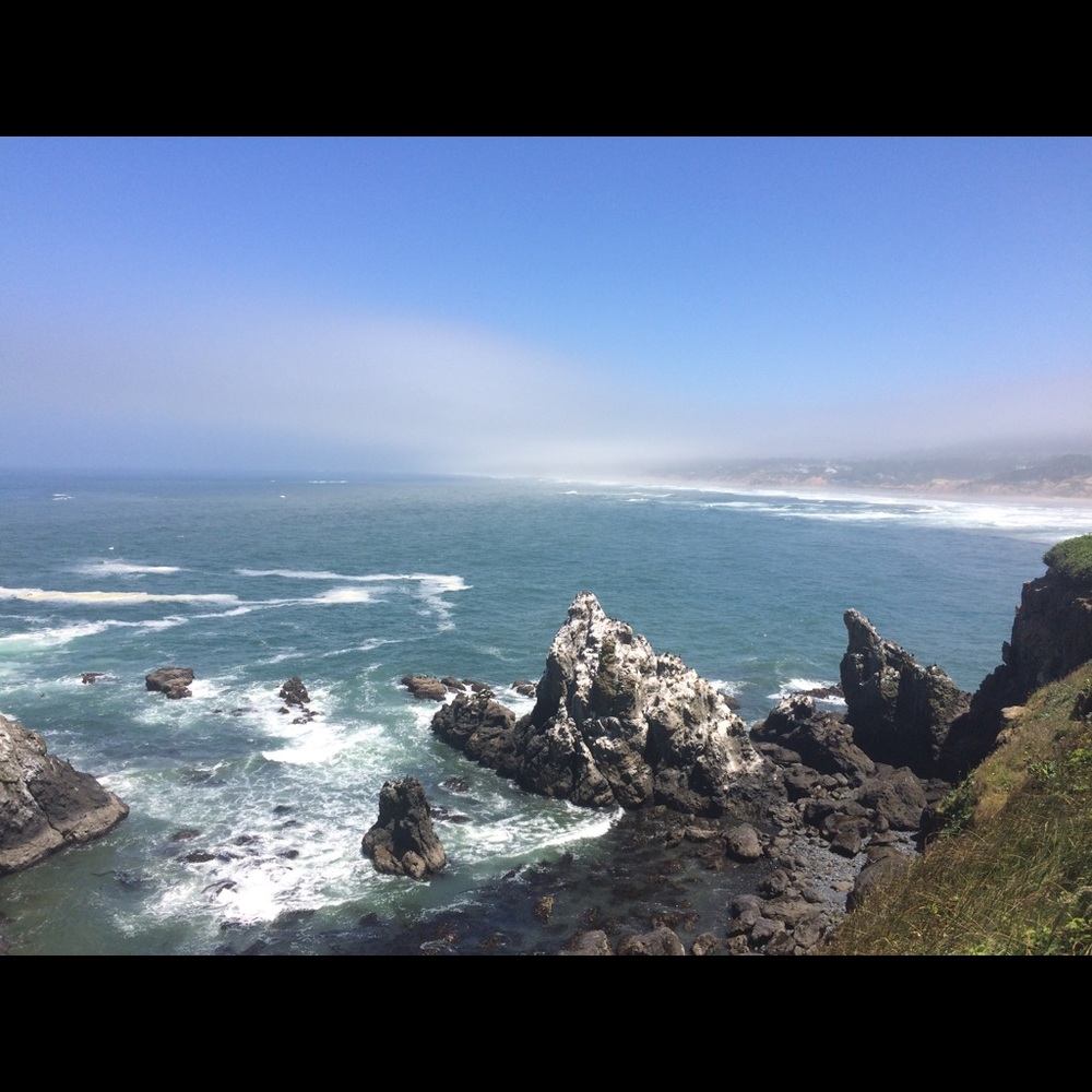 Meet your Posher, Charlotte